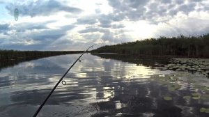 Улов в полнолуние! Активная Щука Рыбалка в заповеднике.