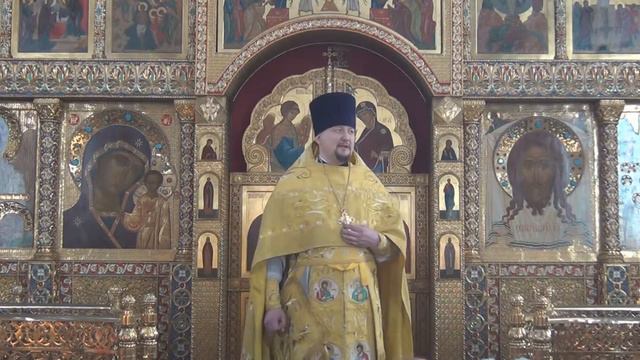 28.02.2016 г. Проповедь в Неделю о блудном сыне смотреть онлайн