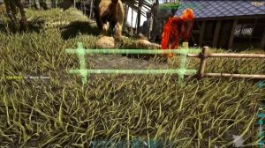 Укротитель ВИВЕРН -  ARK Survival Evolved #4