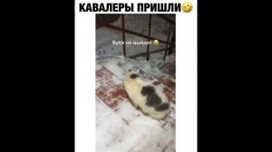 Эту страну не победить!