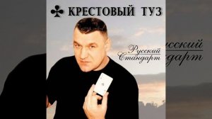 Новый русский кот-9 (ГИБДД)