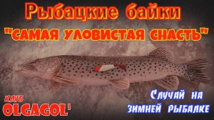 Самая уловистой снасть или случай на зимней рыбалке. Рыбацкие байки.