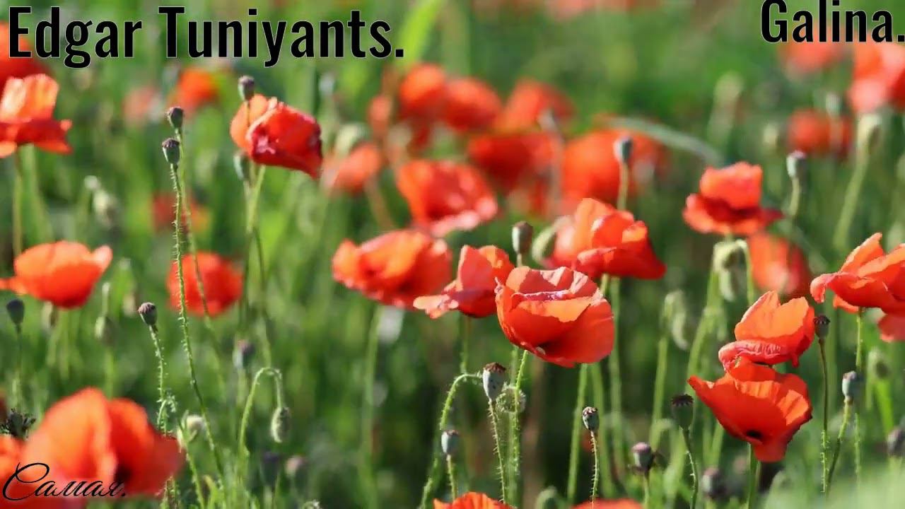 Edgar Tuniyants-Music for the soul!-The most beautiful melodiesin the word.
