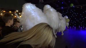 Фьеки на детском празднике