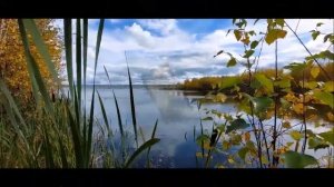 Охота на рябчика с манком./Как правильно  подходить к рябчику./Манок №17.