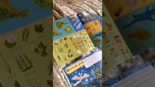 Дни творения смотреть онлайн