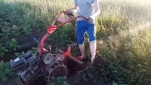 Окучивание картофеля мотоблоком