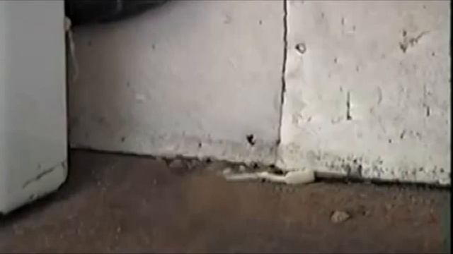 Повезло! luck! смотреть онлайн