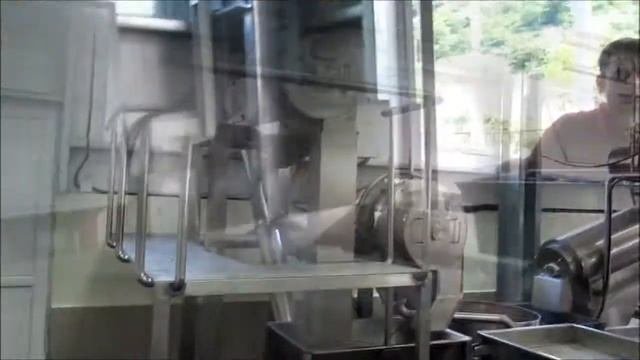 Frumak | Meyve İşleme Hattı (Fruit Processing Line)