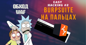 EasyHacking - Burpsuite. Часть 2я.