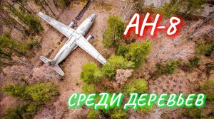 Старый самолет АН-8 в Ленинградской области