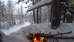 ОХОТНИЧЬЯ КУХНЯ. ЭКЗОТИКА. Что поесть? Food.
