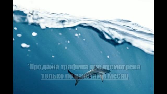 Спутниковая связь для яхт: обзор выбора оборудования и оператора связи смотреть онлайн