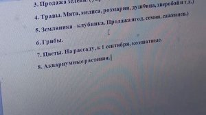 Как заработать на даче  Бизнес на даче