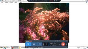 маниакально депрессивный психоз от чего возникает и лечение