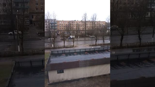 Собака любила "стих" смотреть онлайн