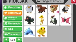 Аdopt me new Roblox новый пет пудель неон