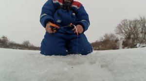 Окунь зимой на самодельную блесну