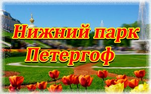 Прогулка в Нижнем парке.Петергоф