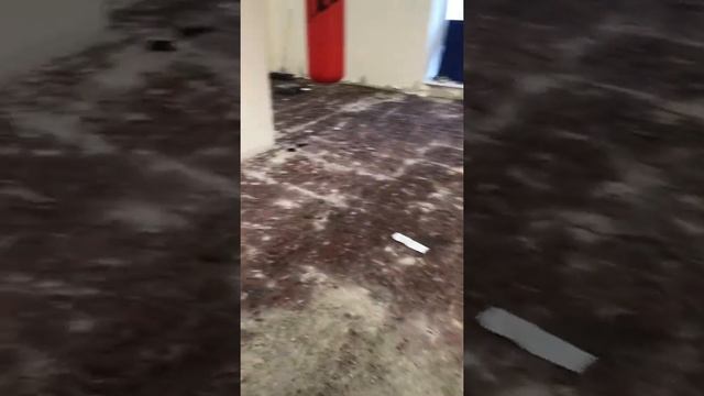 Заливка в спортзале под линолеум 130 кв м