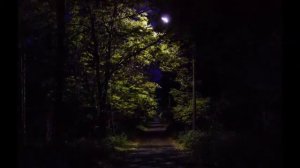 НОЧНАЯ ПРИРОДА