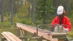 Шинная пилорама Logosol M7