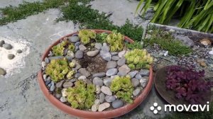 💡Пластиковое кашпо. Переделка.