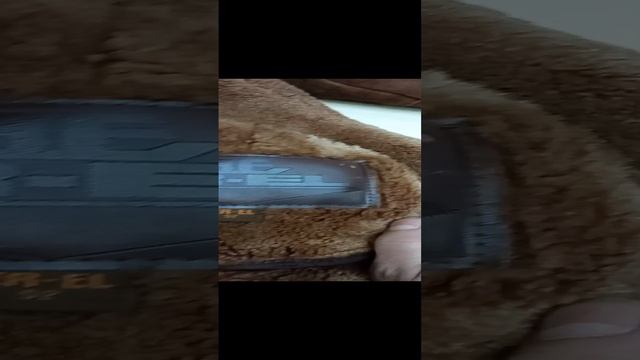 VID_20240217_134600