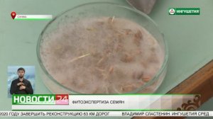 ФИТОЭКСПЕРТИЗА СЕМЯН