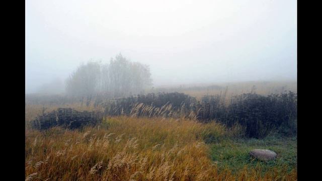 Первая линия Чудского озера