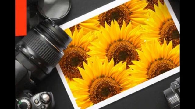как научиться фотографировать в режиме м