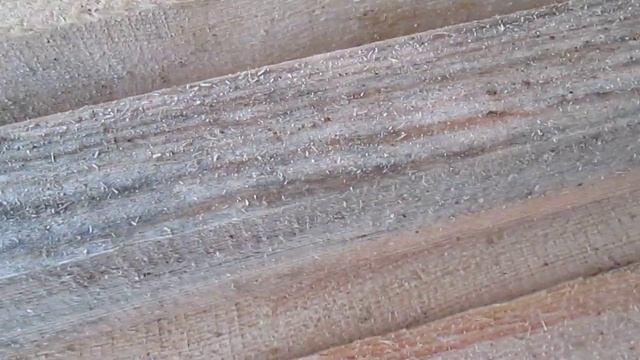 Грибок синевы на пиломатериалах, брусе и бревне. Чем удалить его смотреть онлайн