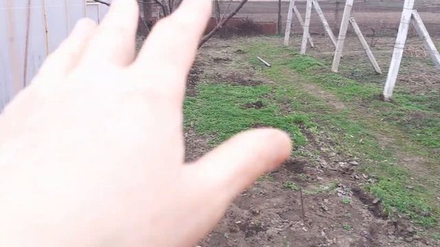 Посадка клубники в горшки в теплице. смотреть онлайн