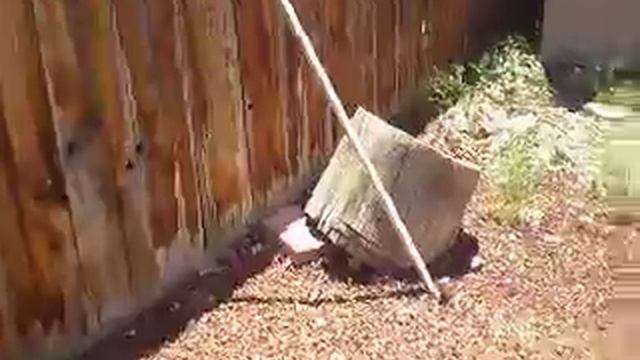 1991 Subaru Legacy EJ22 Donor Car смотреть онлайн