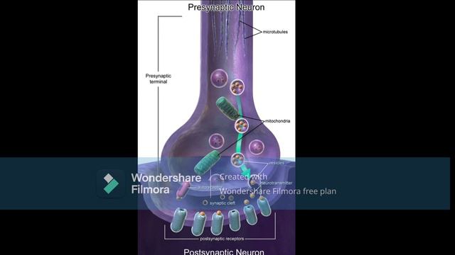la sinapsis смотреть онлайн