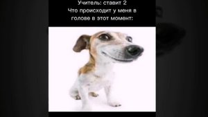 ОРУ! САМЫЕ СМЕШНЫЕ МЕМЫ за ИЮЛЬ 😂 / СБОРНИК МЕМОВ ЗА ИЮЛЬ