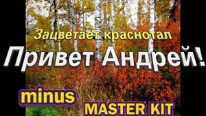 ?автор минусовки MASTER KIT?Привет Андрей! Зацветает краснотал?