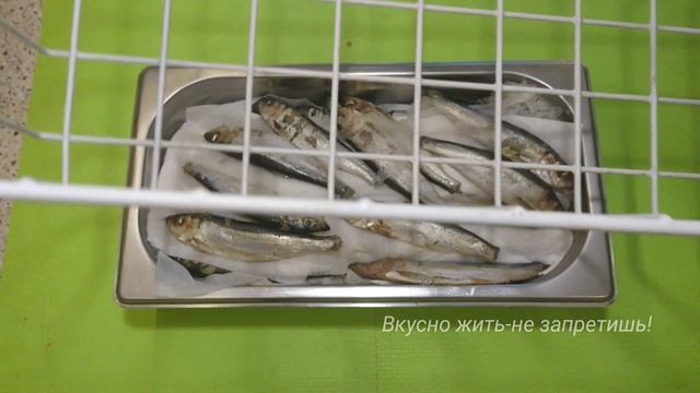САЛАКА ПРОВЕСНАЯ / Baltic herring