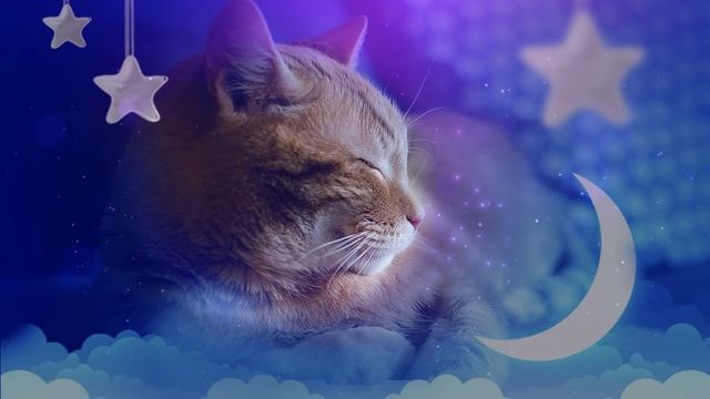 Cat music ♬ 528 Hz Healing music to calm your cat - Stress relief 10 hours смотреть онлайн
