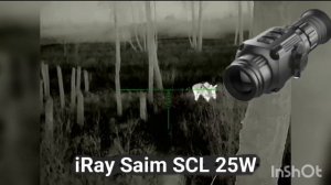 Лось с БЮДЖЕТНОГО тепловизионного прицела iRAY Saim SCL 25W