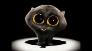 КОТ ИЗ ТИК ТОКА ФЛЕКСИТ)))А ВАПАПАПА