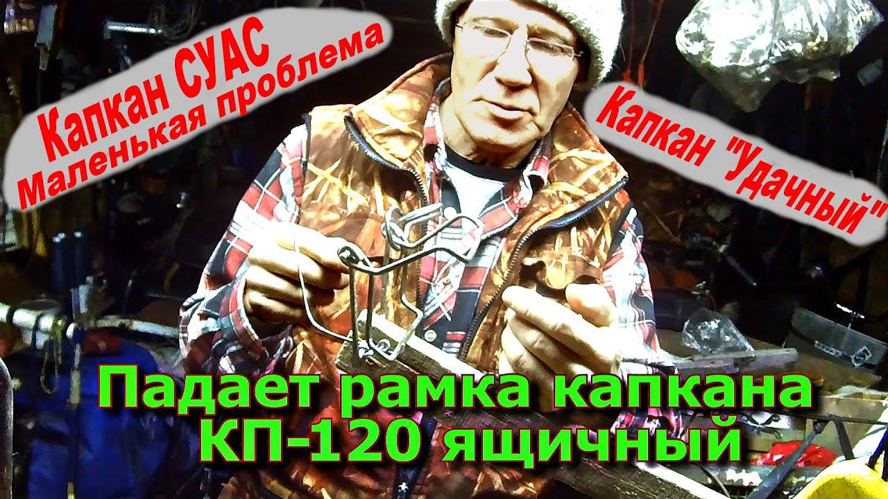 Падает рамка капкана КП-120 ящичный... (Удачный) 29 01 23