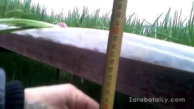 Личные консультации по обустройству теплицы смотреть онлайн