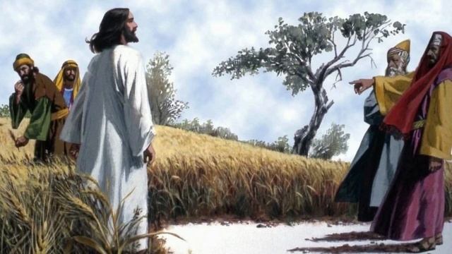 Евангелие дня 8 июля 2022 с тлкованием. Апостол. Церковный календарь смотреть онлайн