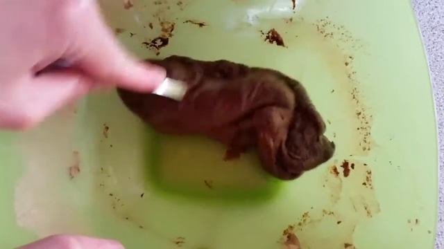 Шоколадный кекс в микроволновке за 5 минут рецепт