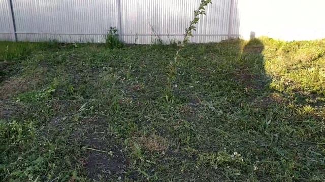 дача#обзор#навели порядок#уставшие но счастливые#подготовили землю для посадки# смотреть онлайн