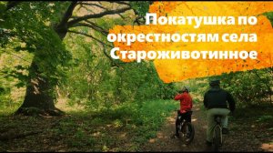 Староживотинное и окрестности