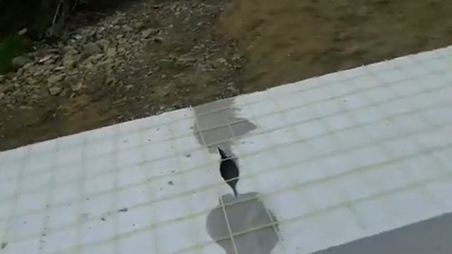 Композитная кладочная сетка