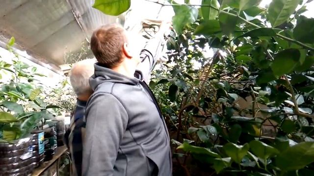 #Теплица термос. смотреть онлайн