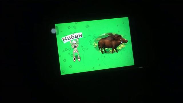 Узнать животных - Лес смотреть онлайн